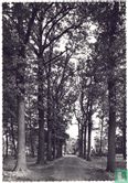 Dreef Park Ekeren - Image 1