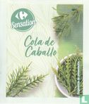 Cola de Caballo - Image 1