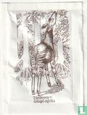 Okapi-Afrika - Image 1