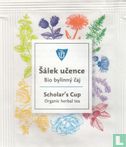 Sálek ucence