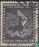 Condor - Image 1