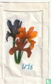 Iris - Afbeelding 1