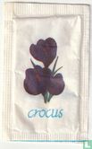 Crocus  - Bild 1