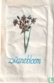 Zwanebloem - Image 1
