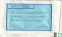 Optimism - Image 1