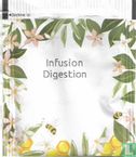 Infusion Digestion - Bild 2
