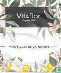 Infusion Verveine - Bild 1