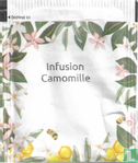 Infusion Camomille - Bild 2