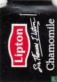Chamomile - Image 3