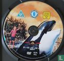 Killer Whale - Image 3