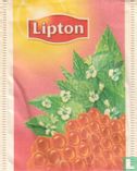 Örtte: Citronmeliss-Honung  - Bild 1