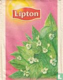 Örtte: Citronmeliss