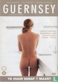 Cine Feel 28 - Image 2