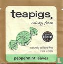 minty fresh  - Image 1