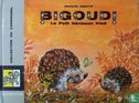 Bigoudi