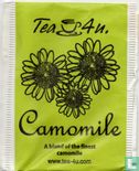 Camomile