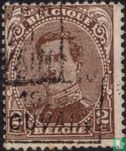 Le roi Albert I