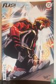 Absolute Flash 13 - Image 1