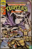 Turtles adventures