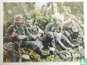 Rast in Fliegerdeckung - Image 1