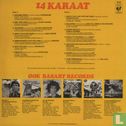 14 Karaat