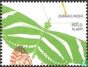 Zebravlinder