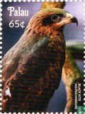 Les oiseaux du Pacifique Sud 