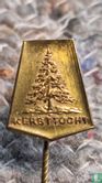 Kersttocht