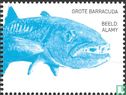 Large barracuda