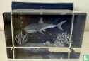 Bloc de verre « requin »