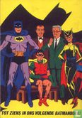 Batman en Robin de wonderjongen - Image 2