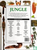 Jungle - Image 2