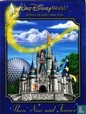 Walt Disney World Then, Now and Forever - Bild 1