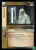 Wizard Staff - Image 1
