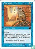 Sage Owl - Afbeelding 1