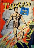 Tarzan and the Fires of Tohr - Image 1