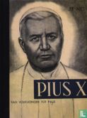 Pius X, Van volksjongen tot paus - Image 1