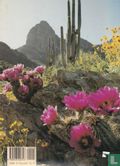 Sonoran Desert - Image 2