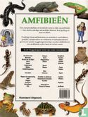 Amfibieën