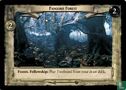 Fangorn Forest - Image 1