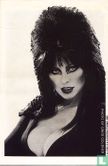 Elvira's house of mystery 1 - Bild 2