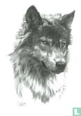 Wolf's Head - Image 1