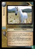 Shadowfax - Image 1