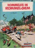 Hommeles in Rommelgem - Afbeelding 1