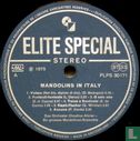 Mandolins in Italy - Afbeelding 3