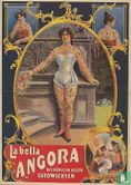 B001866 - Teylers Museum - Hooggeëerd Publiek "La bella Angora" - Afbeelding 1