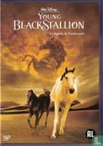 Young Black Stallion / La légende d'étalon noir - Image 1