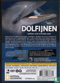 Dolfijnen - Ontdek hun duistere kant - Image 2