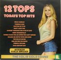 12 Tops Volume 9 - Todays Top Hits - Afbeelding 1