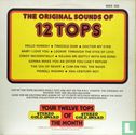 12 Tops Volume 9 - Todays Top Hits - Afbeelding 2